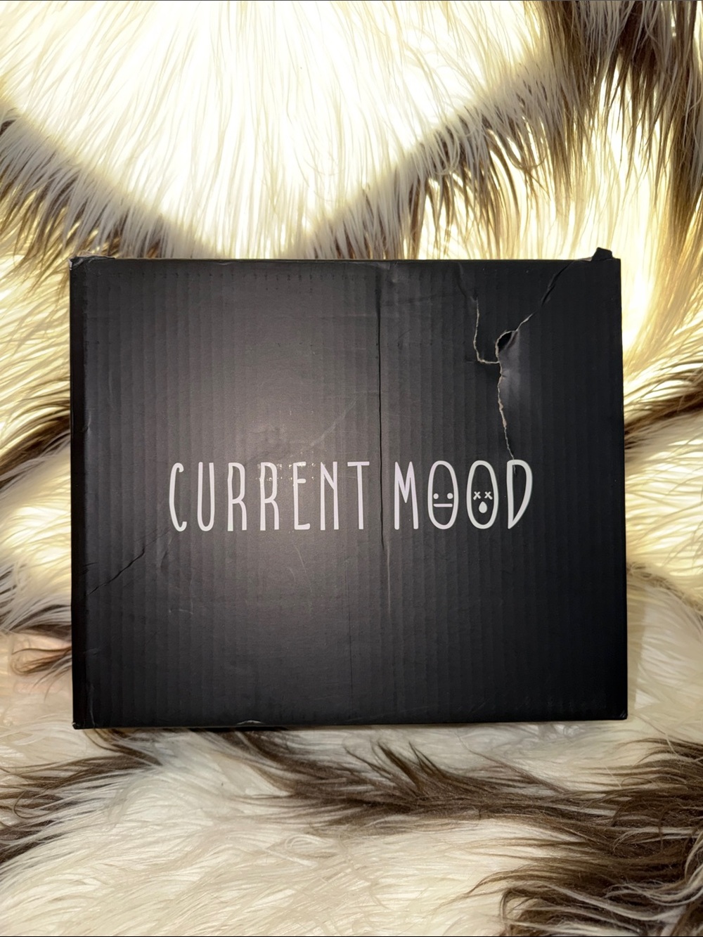 #DOLLSKILL-CURRENT MOOD-BLACK-Michele OXFORD